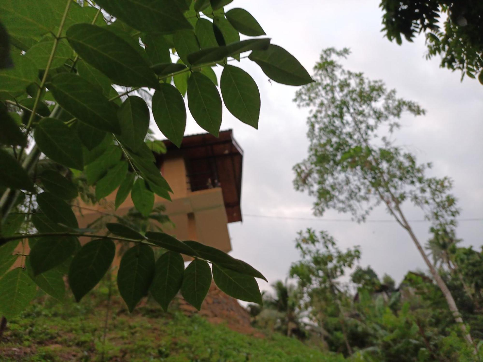Sunshine Forest Lodge - Sinharaja Deniyaya Bagian luar foto