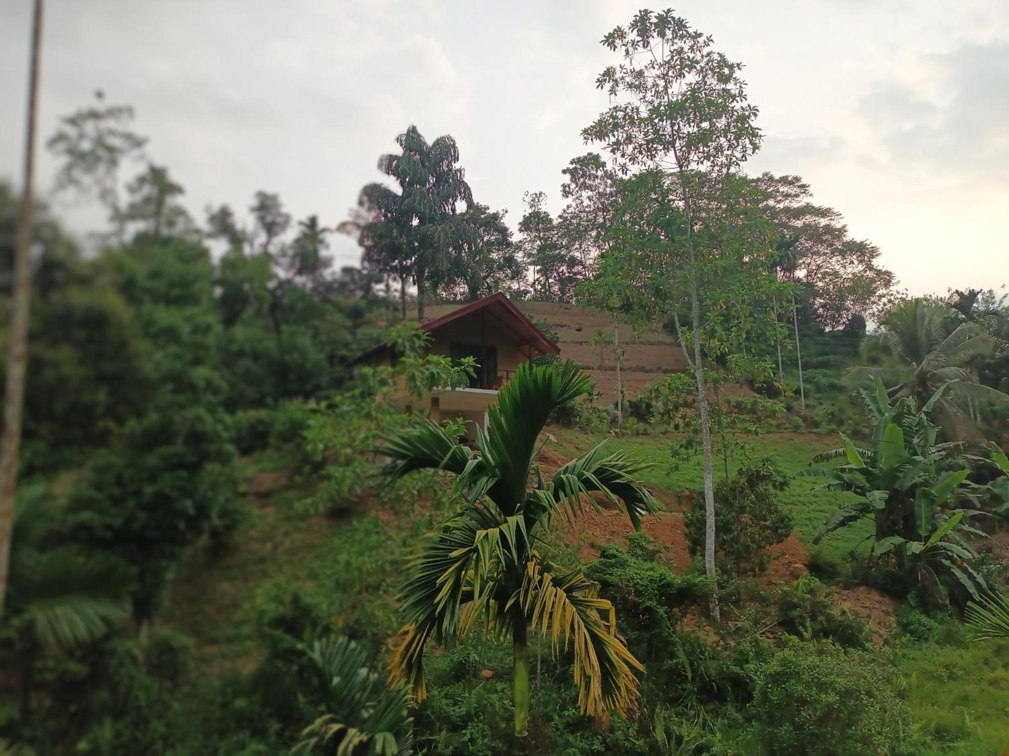 Sunshine Forest Lodge - Sinharaja Deniyaya Bagian luar foto