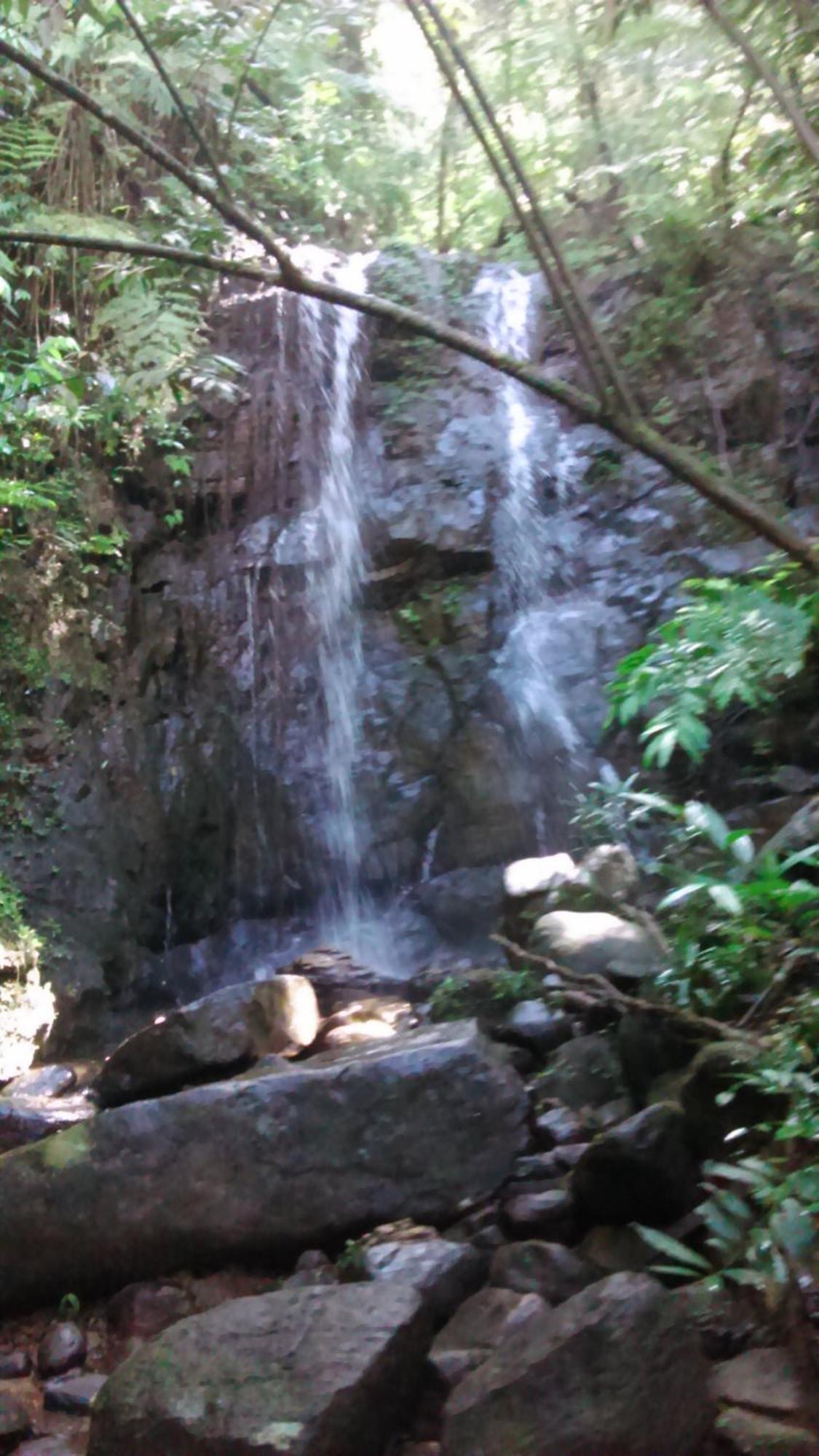 Sunshine Forest Lodge - Sinharaja Deniyaya Bagian luar foto
