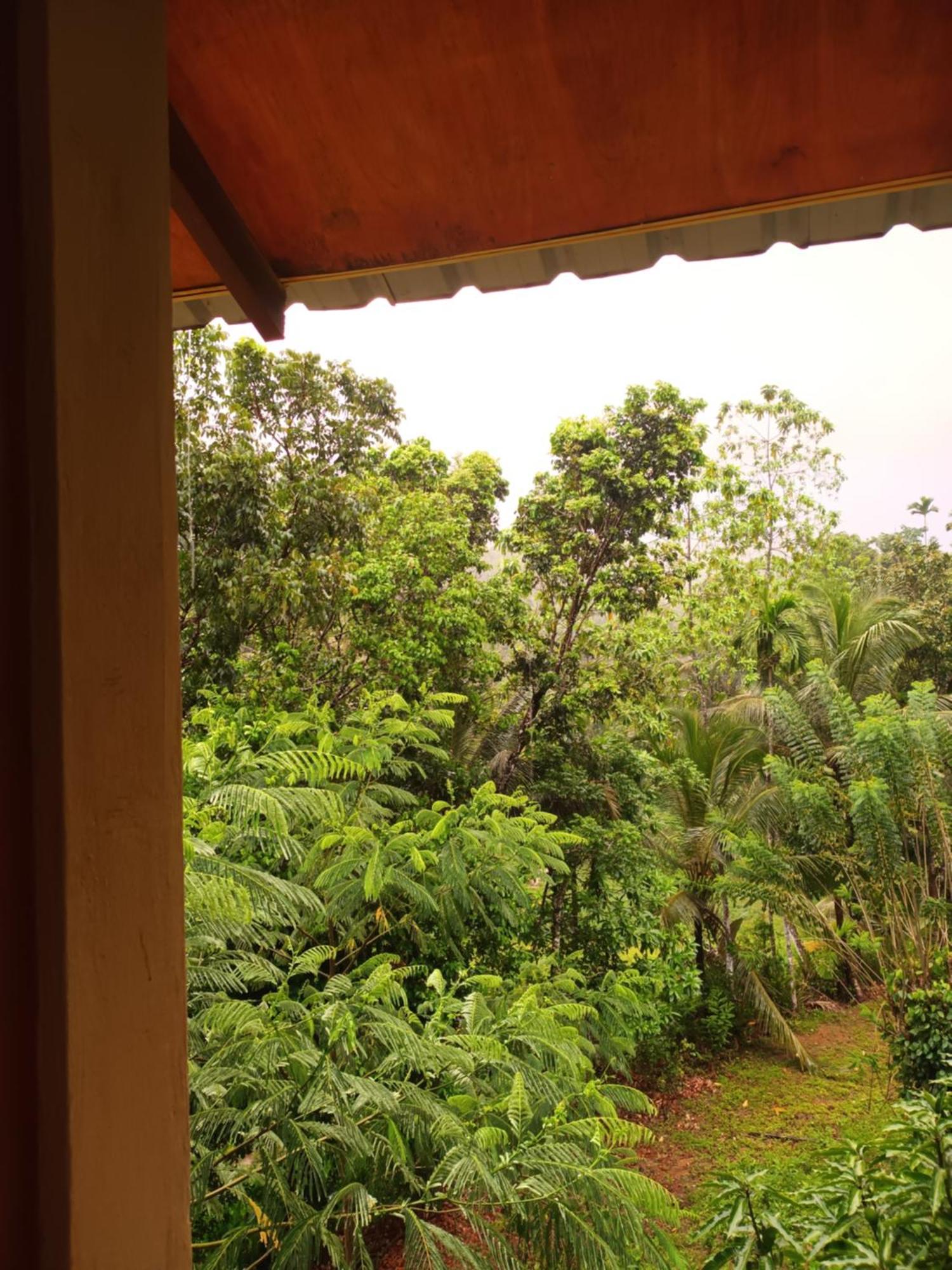 Sunshine Forest Lodge - Sinharaja Deniyaya Bagian luar foto