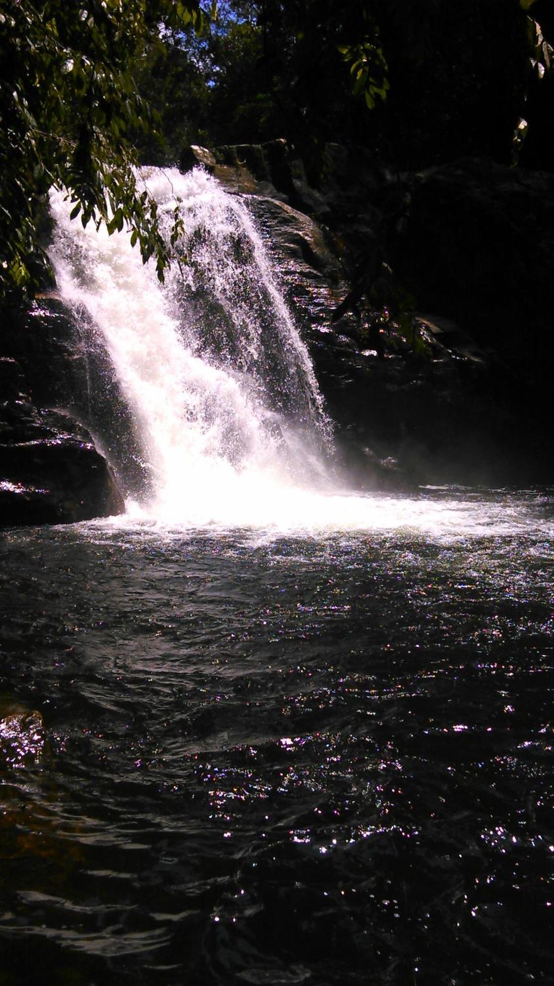 Sunshine Forest Lodge - Sinharaja Deniyaya Bagian luar foto