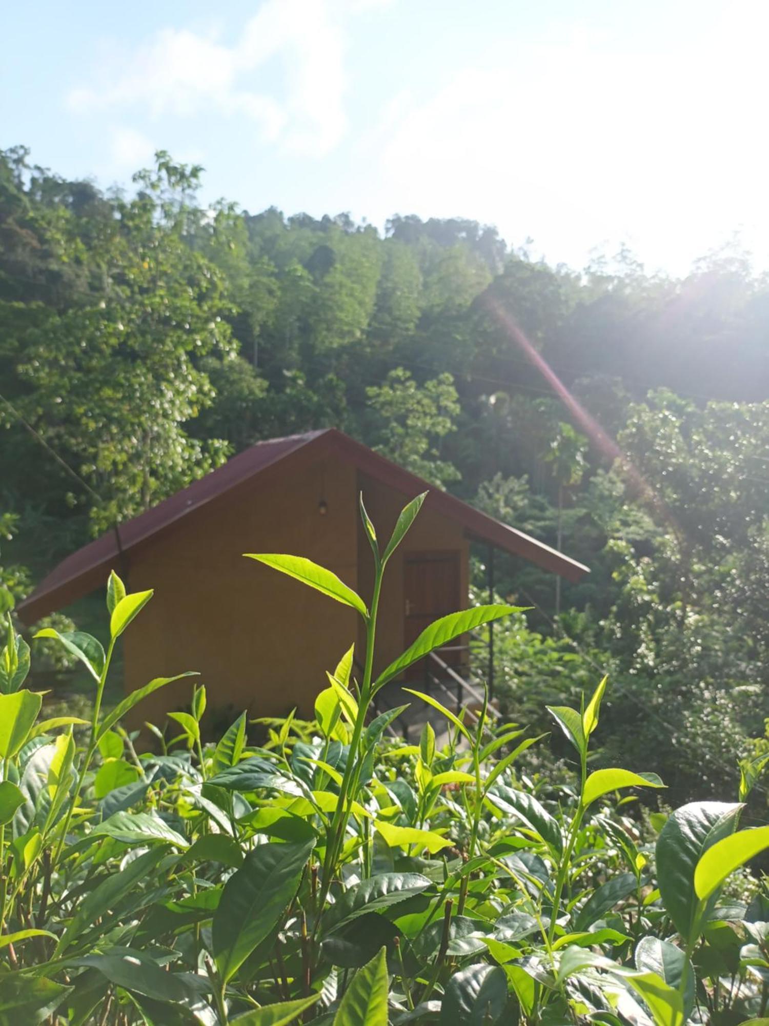 Sunshine Forest Lodge - Sinharaja Deniyaya Bagian luar foto