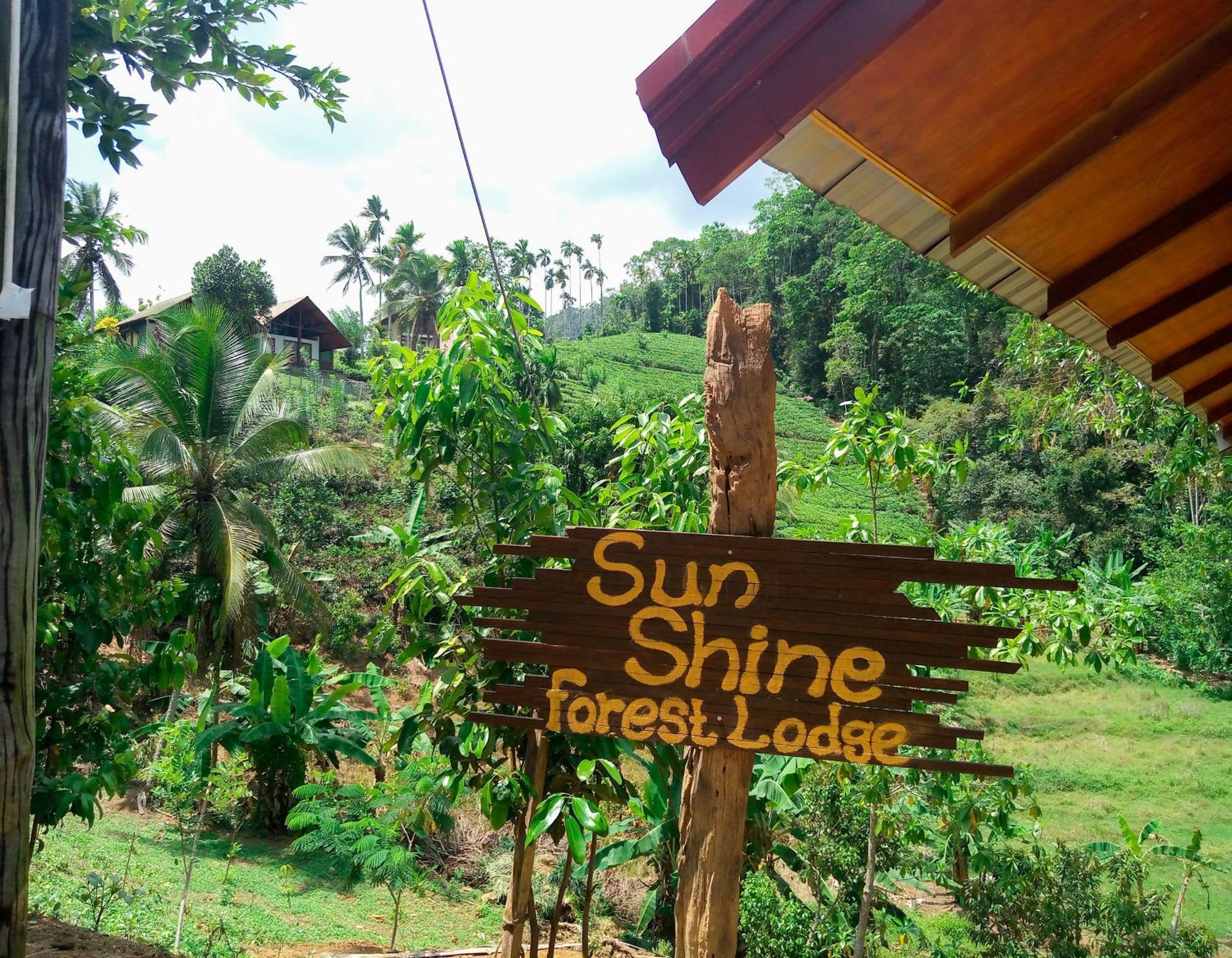 Sunshine Forest Lodge - Sinharaja Deniyaya Bagian luar foto